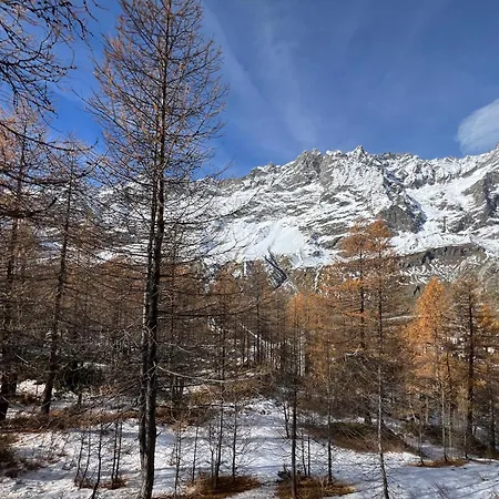 Cervinia Mountain View 布勒伊-切尔维尼亚
