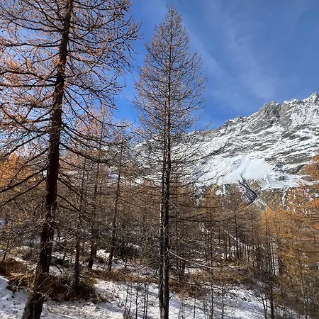 Cervinia Mountain View 布勒伊-切尔维尼亚