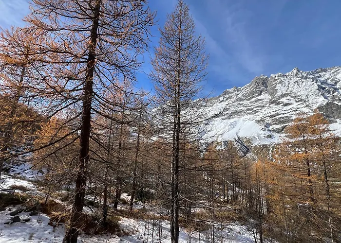 Cervinia Mountain View Брей-Червінія